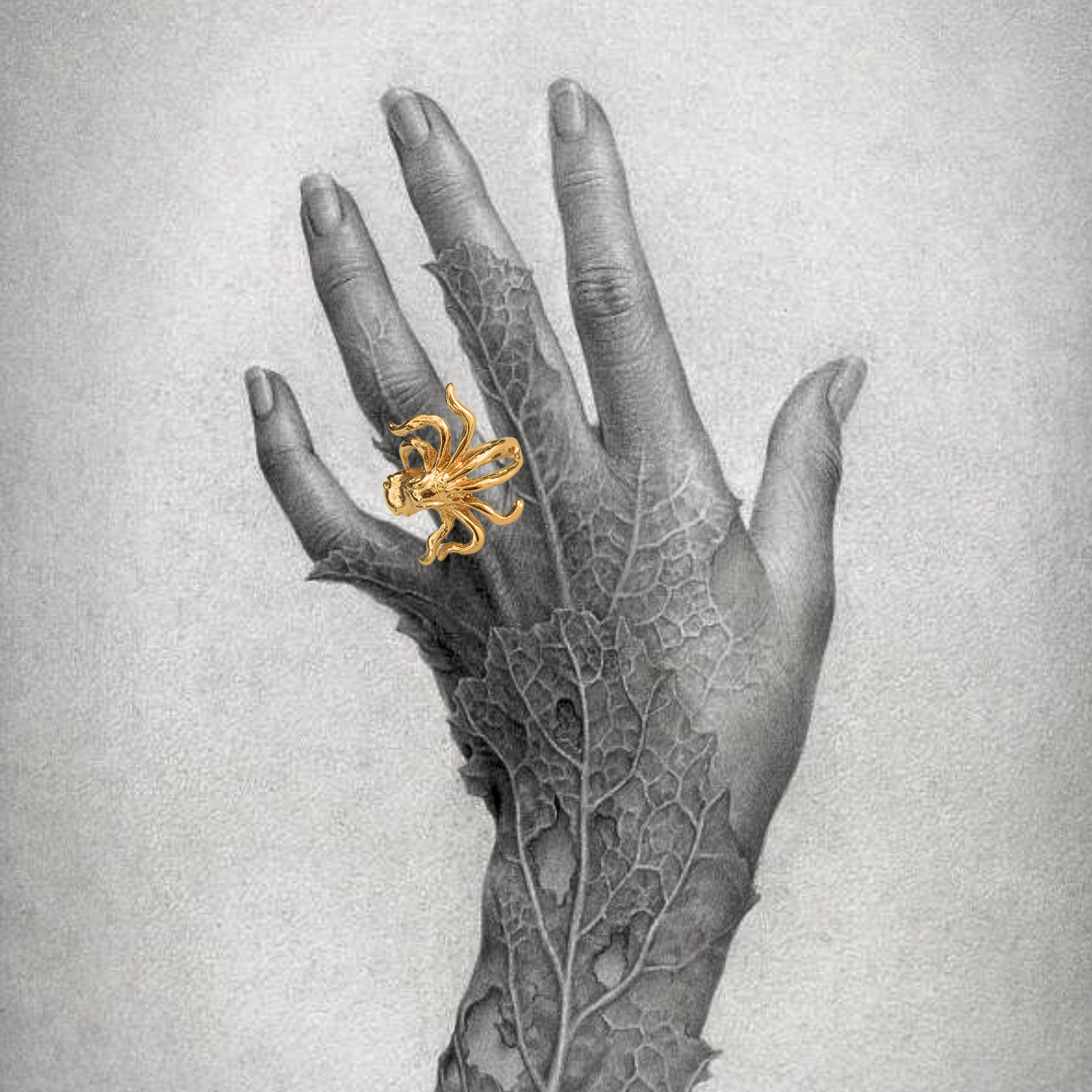 Número 8