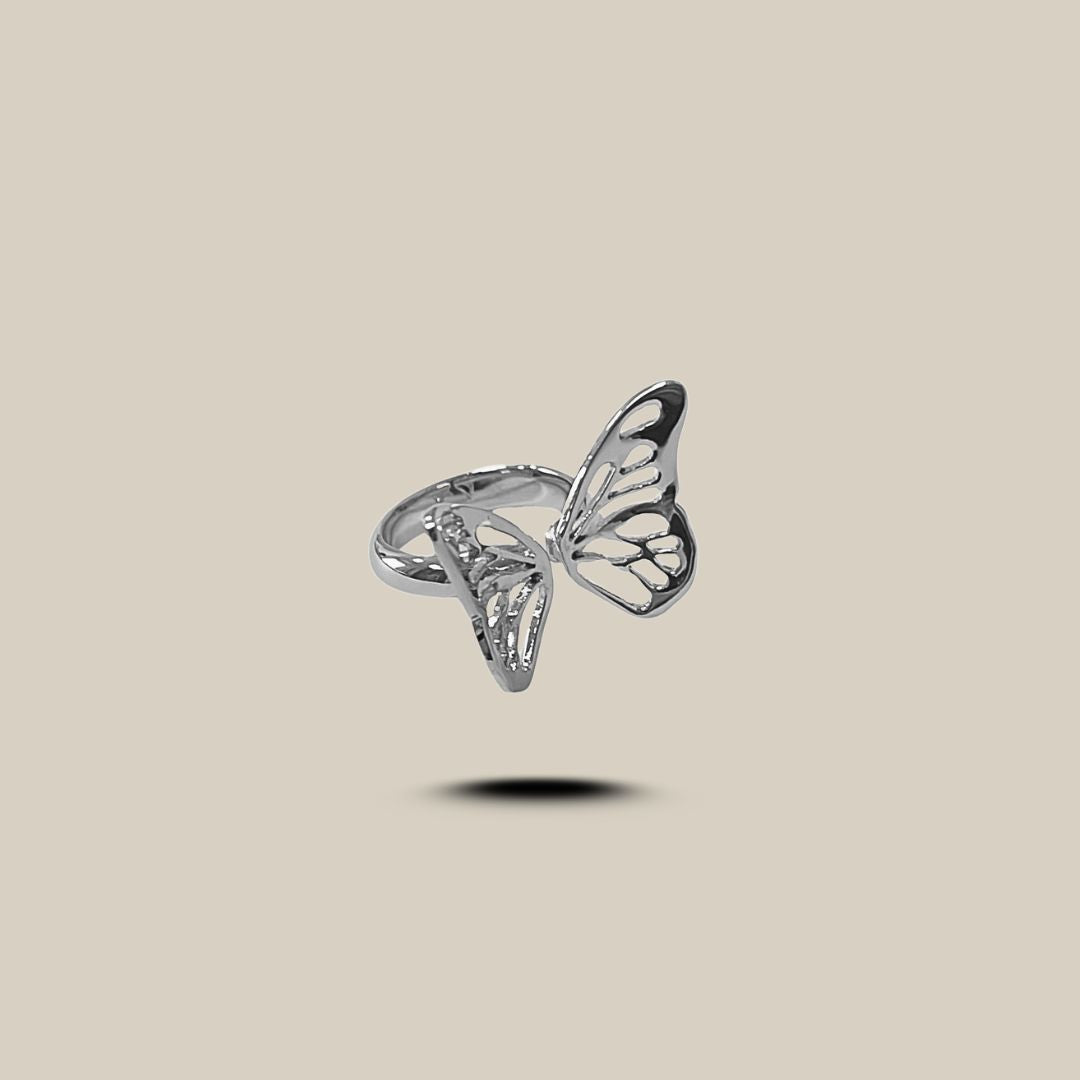 ANILLO AUTONOMIA