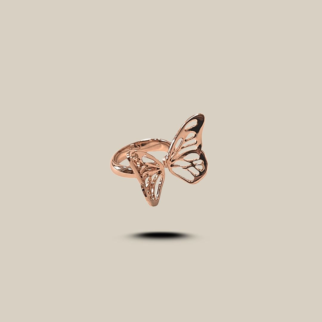 ANILLO AUTONOMIA
