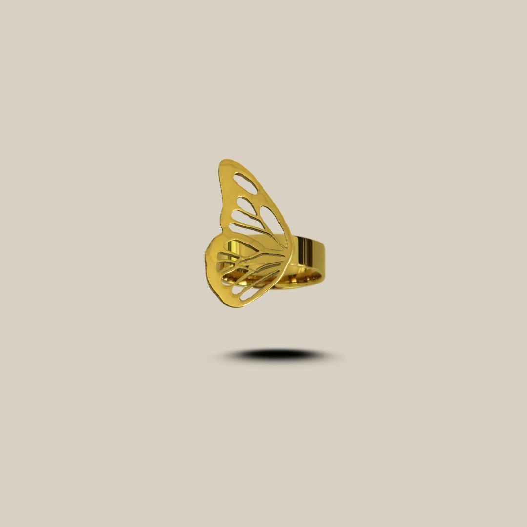 ANILLO TEMPORAL